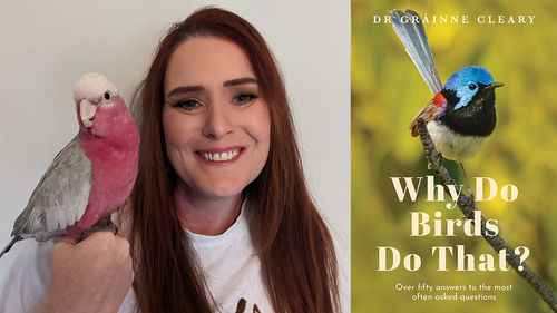 Why Do Birds Do That?: Dr Gráinne Cleary
