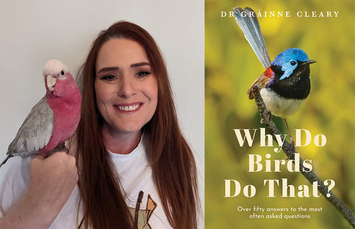 Pukapuka Adventures: Why Do Birds Do That? True Stories of our Feathered Friends